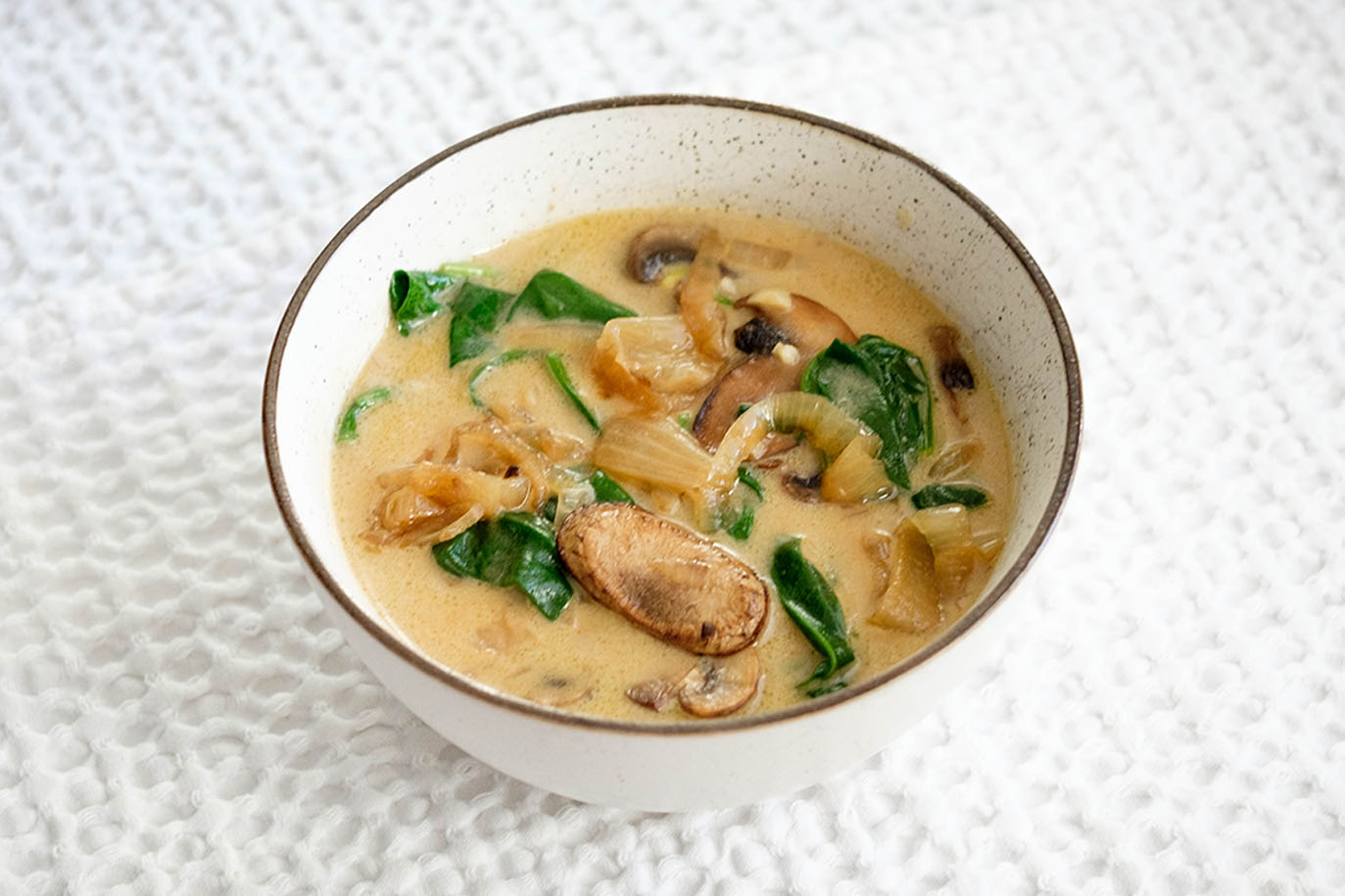 mushroom and spinach onion soup